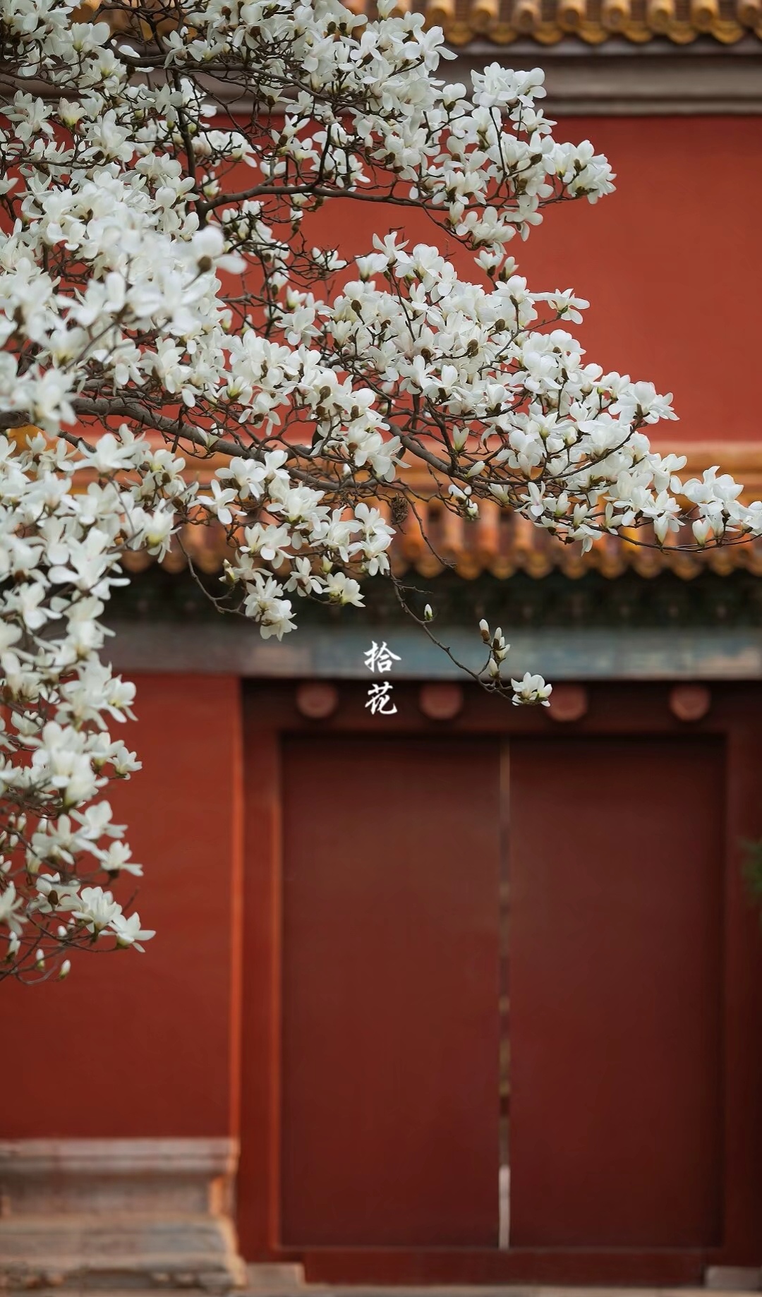 《教育的本质不在于人才的孵化，而是文明根基的培养》